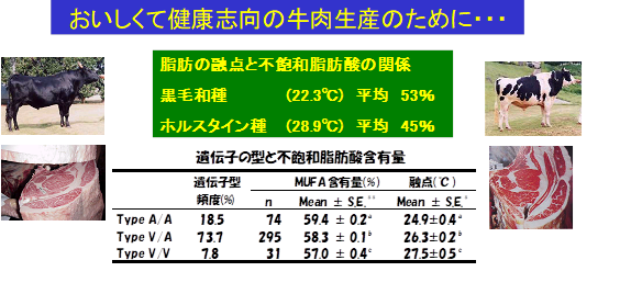 牛肉の美味しさDNA鑑定