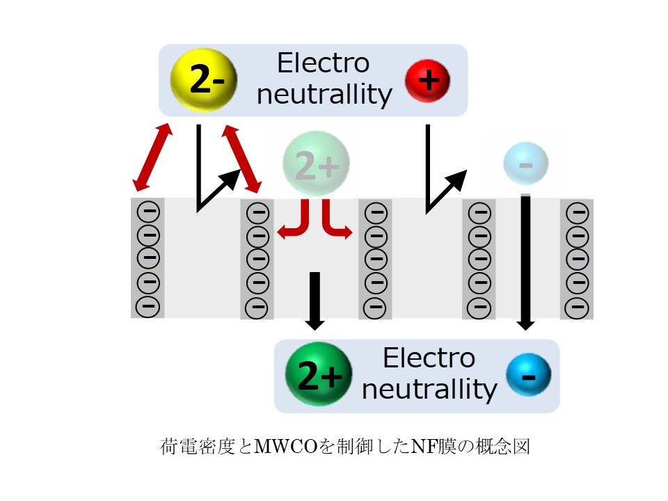 荷電密度と分画分子量を制御したNF膜の概念図